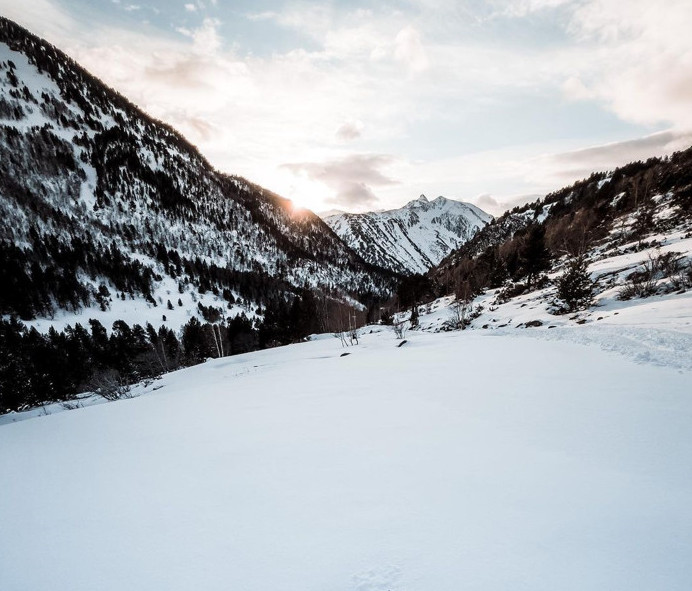 Impôt sur la Fortune / IFI :
