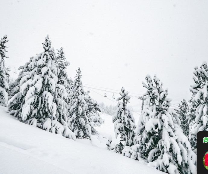 Quels sportifs vivent en Andorre ?