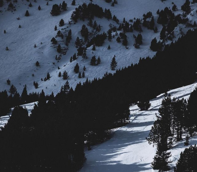 « La plus grande forme de divertissement »