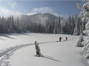 Increment d'un 34% de les importacions de béns el 2022 L'entrada de carburants al desembre cau un 23%
