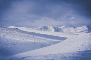 Les factures impagades als proveïdors tenen una antiguitat mitjana de 69 dies Marquina defensa que els abonaments del imports segueixen una evolució positiva