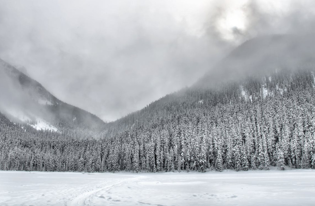 Les empreses amb beneficis hauran de pagar el 3% S'ha aprovat en el marc de la reforma fiscal gràcies als vots a favor dels grups que donen suport al Govern Les empreses amb beneficis hauran de pagar el 3% S'ha aprovat en el marc de la reforma fiscal gràcies als vots a favor dels grups que donen suport al Govern