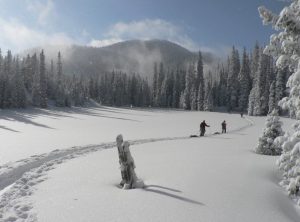 L'etiquetatge energètic dels vehicles, a partir del 31 de juliol El Govern ha decidit prorrogar l'entrada en vigor sis mesos