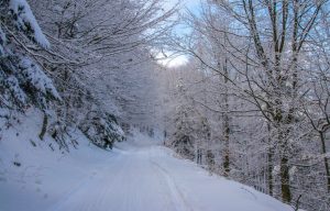 Epizen Lab inicia la seva primera campanya de rebaixes al 30% Les firmes que marquen tendència ofereixen els seus dissenys més exclussius a preus atractius