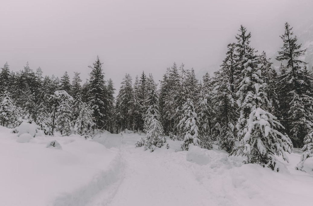 Epizen Lab inicia la seva primera campanya de rebaixes al 30% Les firmes que marquen tendència ofereixen els seus dissenys més exclussius a preus atractius Epizen Lab inicia la seva primera campanya de rebaixes al 30% Les firmes que marquen tendència ofereixen els seus dissenys més exclussius a preus atractius