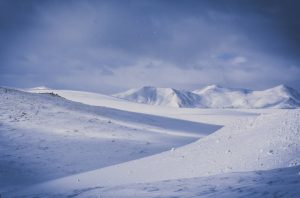 El sector serveis lidera la inversió estrangera el 2022 Gallardo considera contraproduent vetar la compra d'immobles a no residents