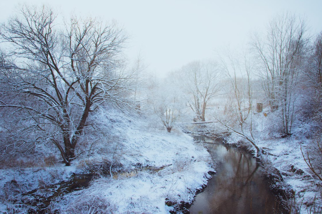 El sector serveis lidera la inversió estrangera el 2022
Gallardo considera contraproduent vetar la compra d'immobles a no residents