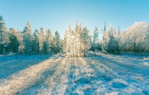 Conferència sobre com invertir en el nou entorn marcat per la inflació La xerrada serà online a càrrec de David Macià, CFA, director d’Inversions i Estratègia de Mercats de Crèdit Andorrà Asset Management