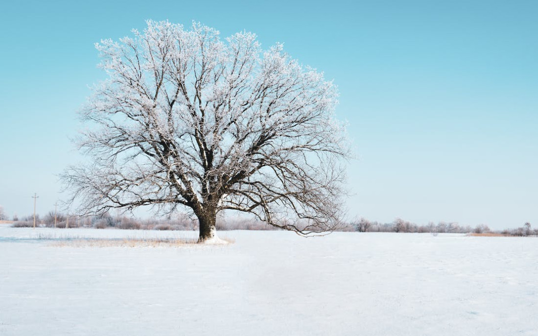 Poc interès del teixit empresarial i comercial en la Zona Franca
Segons un estudi encarregat pel Govern
