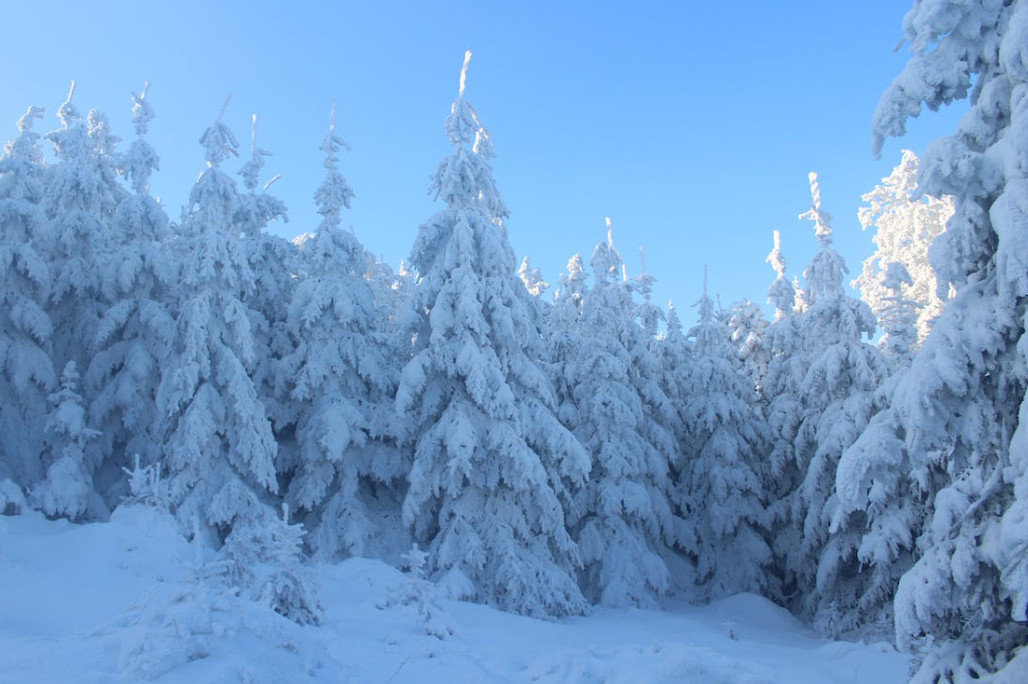 El Govern habilita una eina per calcular l’increment salarial obligatori al sector privat L'aplicació, en format calculadora, permet saber l'augment en base al salari mensual o anual brut El Govern habilita una eina per calcular l’increment salarial obligatori al sector privat L'aplicació, en format calculadora, permet saber l'augment en base al salari mensual o anual brut