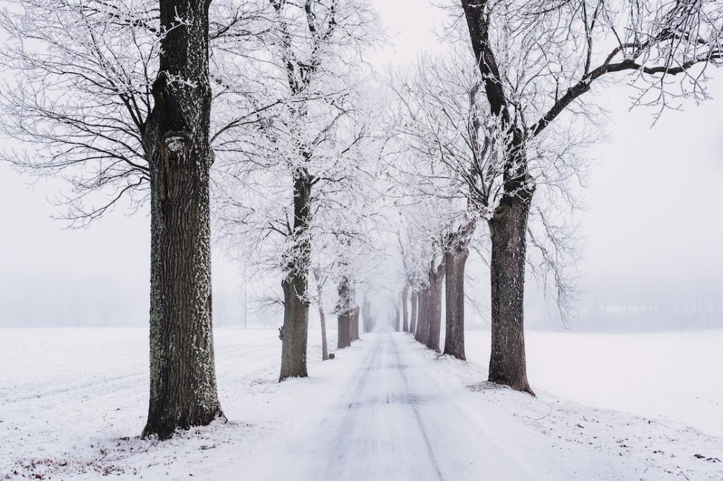 Agreda mira cap a França per a la gestió de residus La Federació d’empreses de reciclatge d’Occitània veu Andorra "un indret ideal per implementar programes d’economia circular"