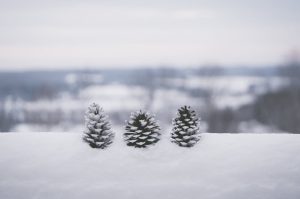 Chairless Chair o com seure mentre estàs dret L'andorrà Marc Sapetti n'és el creador i també ha dissenyat la maleta hídrida Jey&em