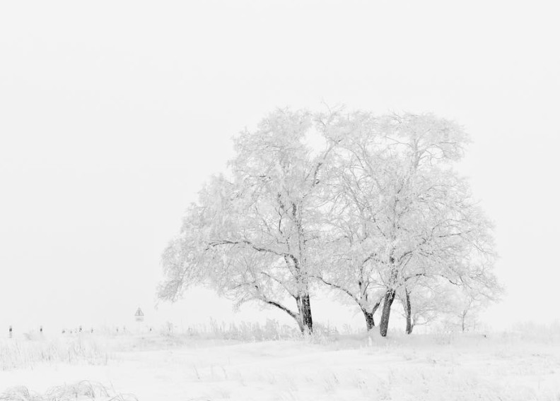 Caldea tancarà tres mesos per remodelació