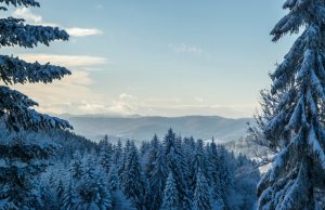 Més permisos de temporada a l'hoteleria, comerç, agències de viatge i empreses de neteja El Govern amplia la quota d'hivern amb 645 noves autoritzacions