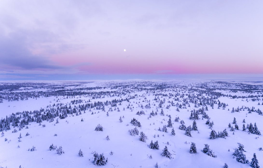 Unnic pren forma amb l'arribada de les màquines slot i les taules de joc El Gran Casino d'Andorra obrirà portes el pròxim 4 de març Unnic pren forma amb l'arribada de les màquines slot i les taules de joc
El Gran Casino d'Andorra obrirà portes el pròxim 4 de març