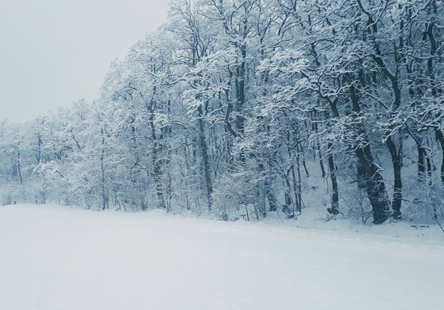Pere López: "No n'hi ha prou que el Govern pagui les factures pendents, cal una compensació pels perjudicis que s'estan creant"