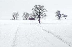 Expedient de Tributs a una empresa d'Eric Jover per no pagar impostos