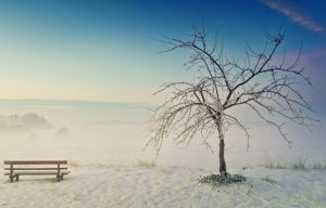 Una desena d'expedients a empreses contractades pel Govern en quatre anys La meitat d'ells corresponen al ministeri de Medi Ambient, Agricultura i Sostenibilitat