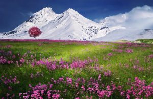 Andbus incrementa els viatges entre Andorra i Barcelona