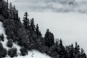 El tercer vol a Madrid, en mans de l'aportació del sector privat La ruta amb la capital espanyola tanca el 2022 amb més d'un 70% d'afluència