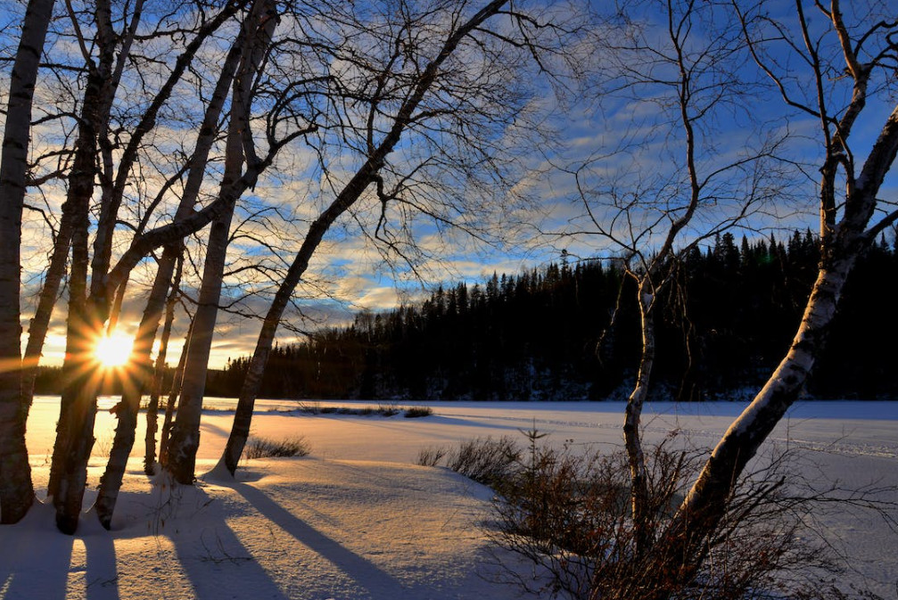 El tercer vol a Madrid, en mans de l'aportació del sector privat La ruta amb la capital espanyola tanca el 2022 amb més d'un 70% d'afluència El tercer vol a Madrid, en mans de l'aportació del sector privat La ruta amb la capital espanyola tanca el 2022 amb més d'un 70% d'afluència