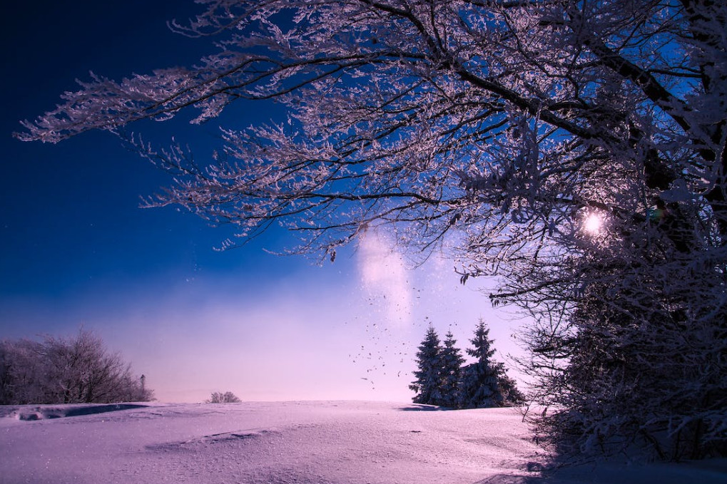 Chairless Chair o com seure mentre estàs dret L'andorrà Marc Sapetti n'és el creador i també ha dissenyat la maleta hídrida Jey&em Chairless Chair o com seure mentre estàs dret
L'andorrà Marc Sapetti n'és el creador i també ha dissenyat la maleta hídrida Jey&em