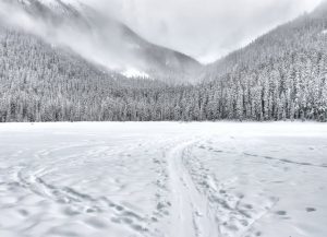 Caldea tancarà tres mesos per remodelació