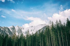 Heliand i Helicòpters del Nord, adjudicatàries de l'heliport La durada de la concessió és de 30 anys i la infraestructura s'ubicarà a la Caubella