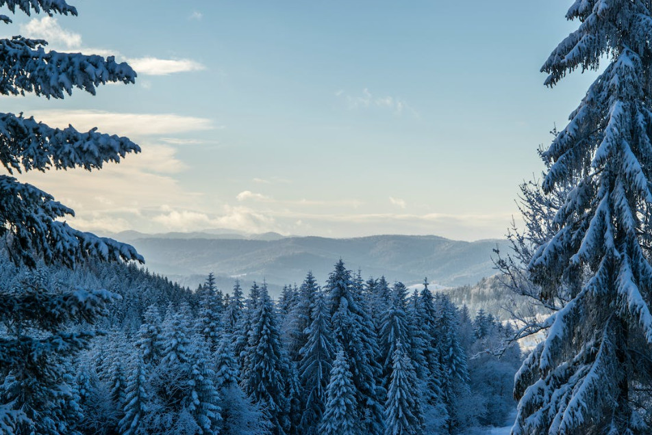 Nou increment de preu als paquets de Winston, Camel, Fortuna, i Benson and Hedges Nou increment de preu als paquets de Winston, Camel, Fortuna, i Benson and Hedges