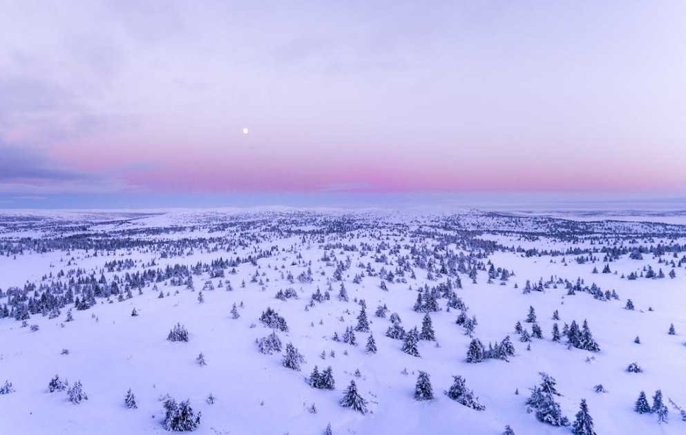 Un milió d'euros nets a Caldea el 2022 Un milió d'euros nets a Caldea el 2022