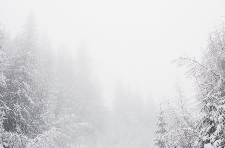 IPC definitiu del 7,1% el 2022