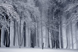 Cerqueda destaca el potencial del sistema financer per culminar l'acord d'associació