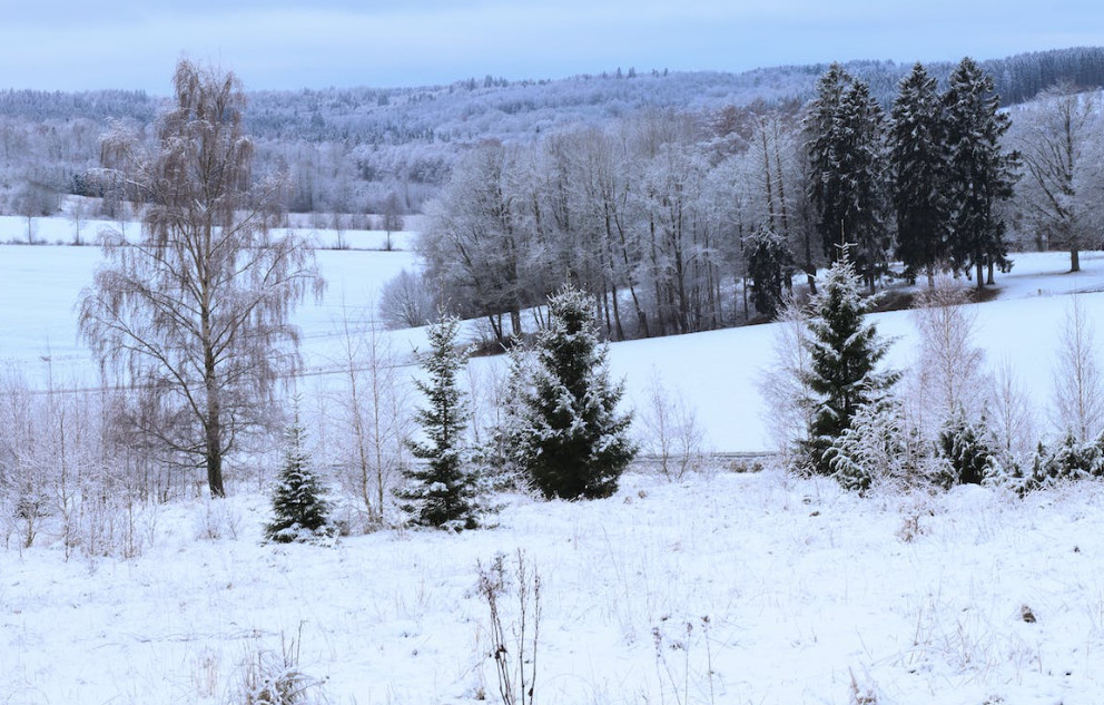 Els lloguers continuen a l'alça: pis d'una habitació a Canillo per 1.180 euros al mes