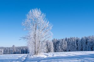 Davalla la producció nacional d'energia elèctrica