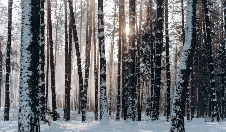 L'economia andorrana creix el tercer trimestre un 5,4% L'economia andorrana creix el tercer trimestre un 5,4%
