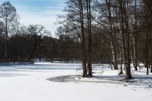 La Margineda podria acollir un macrocentre comercial amb marques de referència