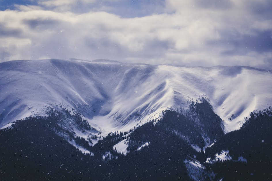 Els robots arriben al comerç