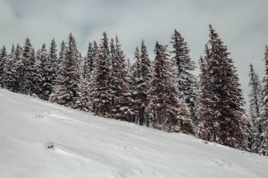 Nova línia d'Andbus entre Andorra i Lleida