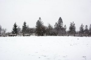 Nadal i Coopalsa haurien perdut més d'un milió d'euros amb la nova compensació Govern defensa que el canvi en la tarifa suposa una millora econòmica respecte a la recaptació prevista per les companyies