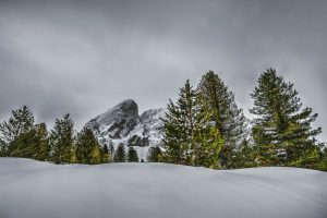 El preu de la benzina augmenta un 2% al novembre