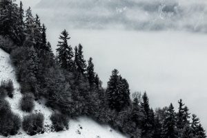 Canillo i la Massana lideren el creixement poblacional