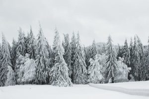 Crèdit Andorrà i Grandvalira renoven el conveni de promoció i patrocini fins al 2027