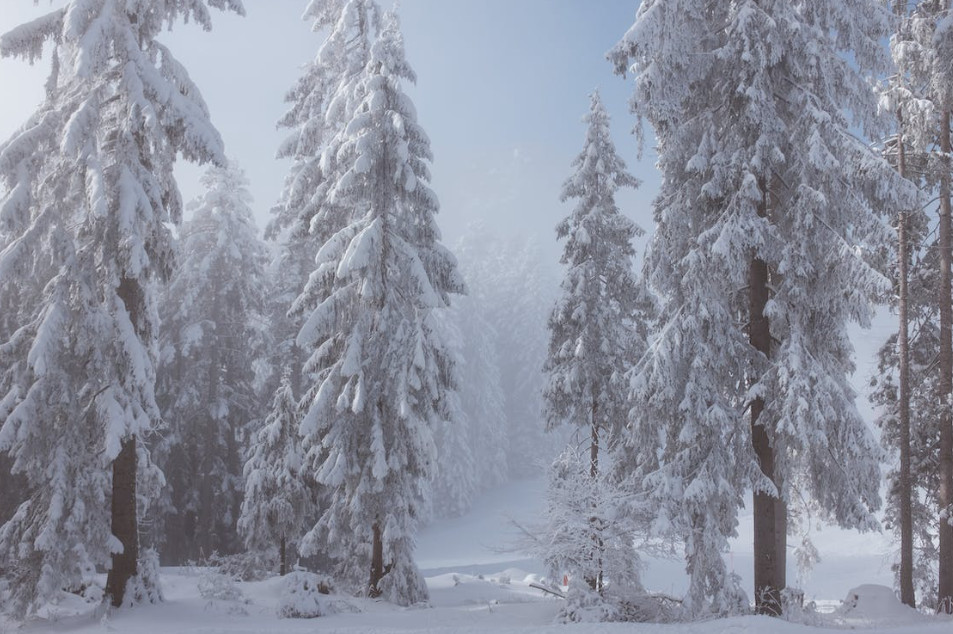 Crèdit Andorrà i Grandvalira renoven el conveni de promoció i patrocini fins al 2027 Crèdit Andorrà i Grandvalira renoven el conveni de promoció i patrocini fins al 2027