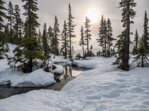 Andbus rep el certificat de llum verda