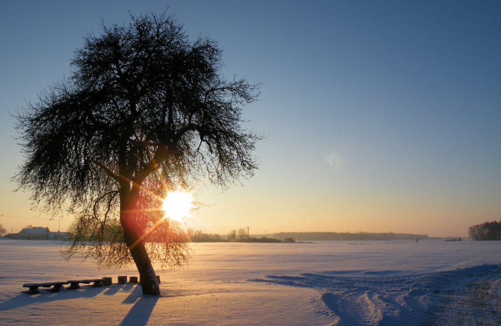 Naturland clou el pont satisfet amb la xifra de visitants Naturland clou el pont satisfet amb la xifra de visitants