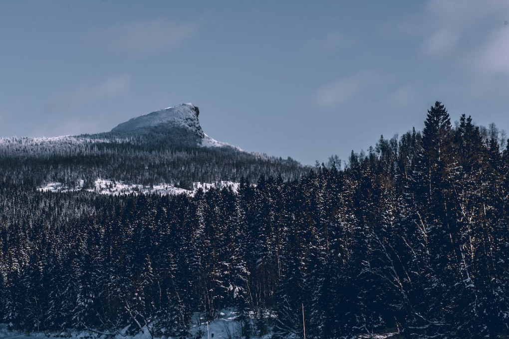 Entra en vigor la llei que permetrà tancar empreses i limitar la venda de combustibles Entra en vigor la llei que permetrà tancar empreses i limitar la venda de combustibles