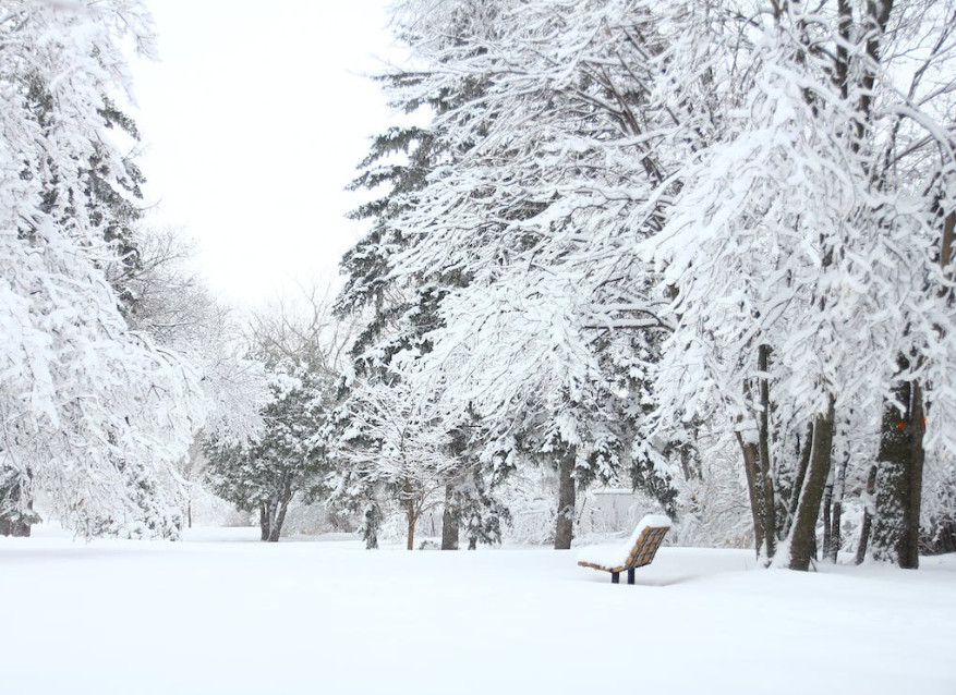 Andbus rep el certificat de llum verda Andbus rep el certificat de llum verda