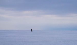 Caiguda d'un 4,9% de les vendes a grans superfícies al novembre Si es compara la xifra amb el 2019 suposa un augment del 8,9%