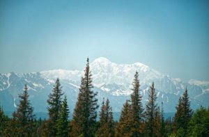Gallardo diu que una de les companyies del transport públic prioritza els vehicles grans per a serveis privats