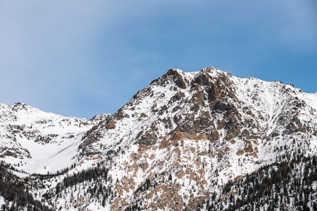 Gallardo diu que una de les companyies del transport públic prioritza els vehicles grans per a serveis privats